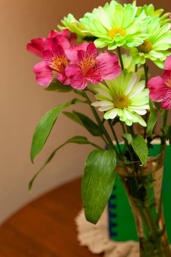 Westphal Mansion Inn Bed & Breakfast Hartford Экстерьер фото